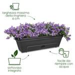 green basics trough mini allin1 30cm living black